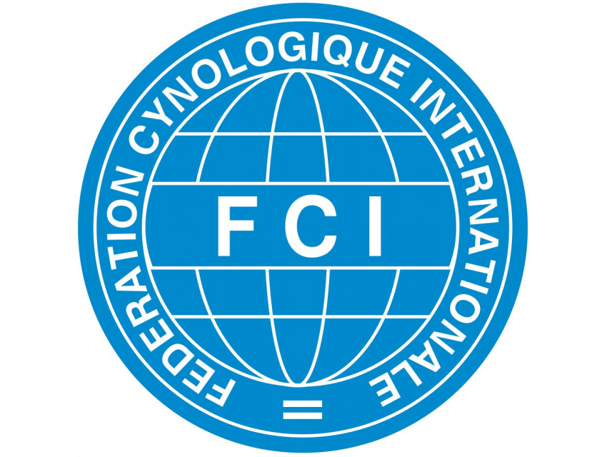 fci federation cynologique internationale