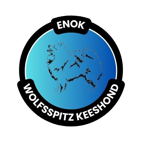 Enok Logo3