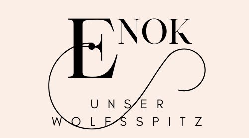Header Schrift Enok