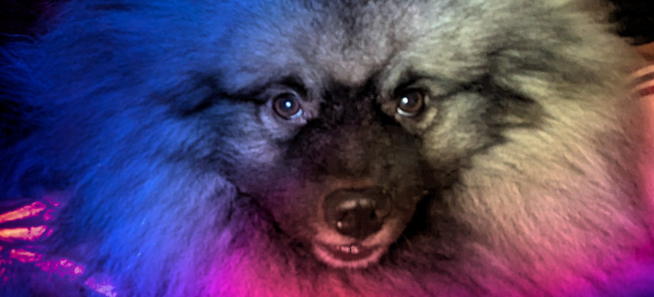 PSX 20240219 090800 Header